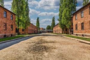 Auschwitz-Birkenau Guided Tour from Krakow 3