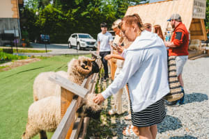 Zakopane Day Trip with Thermal Pools and Cable Car 4