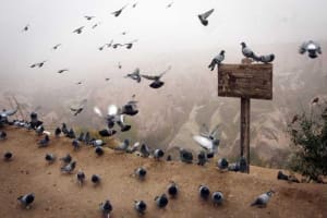 Cappadocia Red Tour with Lunch & Entry Tickets 3
