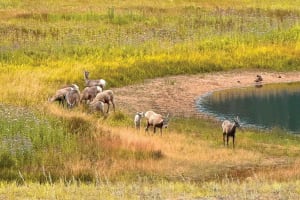 Rocky Mountain National Park Hiking Adventure 3