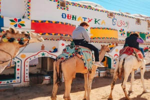 Nubian Village Camel Tour from Aswan 4