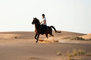 Luxor Camel or Horseback Ride 4