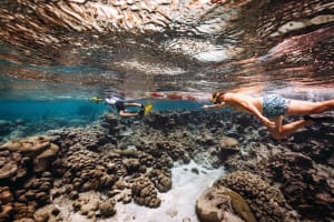 Luxury Lagoon Cruise with Onboard Chef and Signature Cocktails 4
