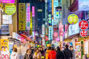 Seoul Day Trip: Nami Island, Petite France & Myeongdong 3