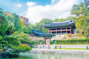 Seoul Royal Palaces & Market Tour 3