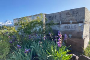 Wyeast Adventure Cycling Tour 3