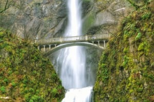 Multnomah Falls Half-Day Hiking Tour 4