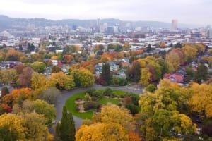 Portland City Tour: Parks, Plazas & Views 3