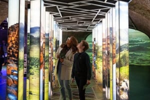 Exclusive EPIC Private Tour in Dublin 3