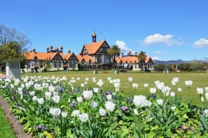 Auckland to Hobbiton, Waitomo, Rotorua & Taupo 2-Day Tour 3
