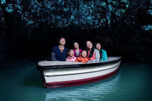 Waitomo Caves & Hobbiton Tour from Auckland 3
