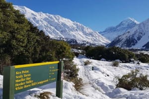Scenic South Island Road Trip 3