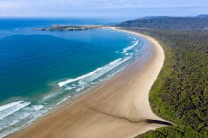 Dunedin to Te Anau via Catlins Tour 3