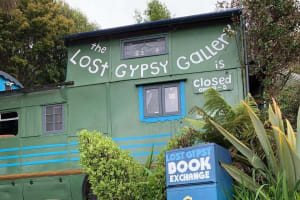 Dunedin to Te Anau via Catlins Tour 4