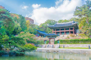 Afternoon Seoul City Tour with Queen's Dorm Visit 4