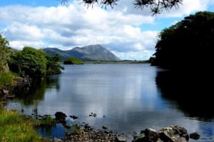 Pike Shore Fishing in Connemara 4