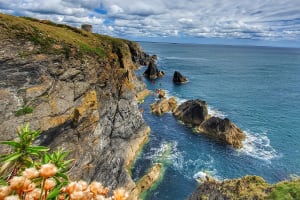 Wild Atlantic Sea Cave Kayaking Experience 4