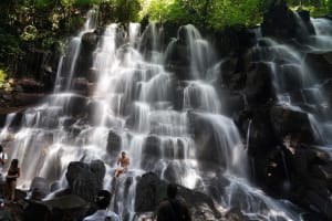 Ubud Adventure: Monkey Forest, Rice Terrace & Waterfall 3