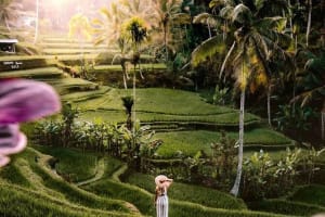 Best of Ubud Private Guide Tour with All Inclusive 4