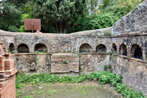 Guided Tour of Ostia Antica with Transfer 3