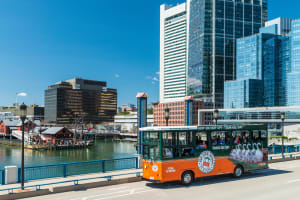 Boston Hop-On Hop-Off Trolley Tour 4