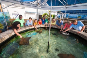 Key West Aquarium Admission with Guided Tours 3