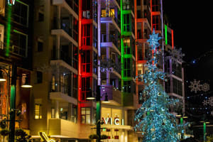 Savannah Holiday Lights Trolley Tour 3