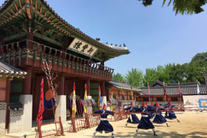 Beyond Seoul: Starfield Library, Hwaseong Fortress & Cave Quest 4