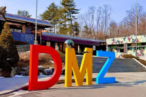 Seoul DMZ Half-Day Tour 3