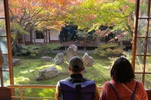 Kyoto Zen Temples Bike Tour with Lunch 3