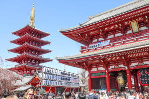 Asakusa Cultural Walk & Matcha Making Tour 4