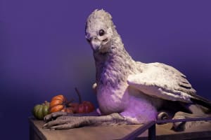 Harry Potter Studio Tour from King's Cross 4