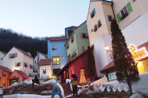 Nami Island & Petite France Tour 4