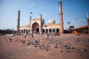Private Golden Triangle Tour 5 Days from Jaipur 4