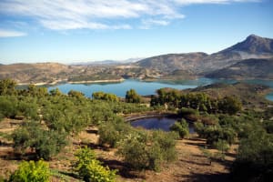 Private White Villages & Ronda Day Tour from Seville 3