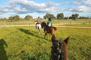Madrid Horseback Riding Adventure 4
