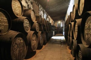 Seville Half-Day Wine Tour 3