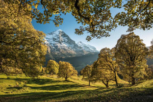 Swiss Alps Day Trip from Zurich 3