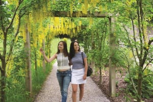 Dublin to Rock of Cashel, Cork City & Blarney Castle Guided Tour 3