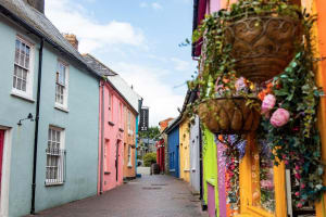 Blarney Castle & Kinsale Half-Day Tour 4