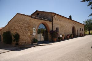 Chianti Wine Tour from Livorno Port 4