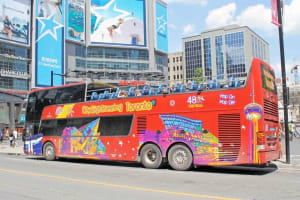 Toronto Hop-On Hop-Off Bus Tour 3