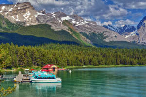 Jasper Wildlife & Maligne Lake Cruise 3