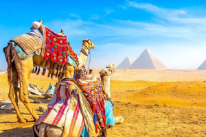 Giza Pyramids & Egyptian Museum Tour 4