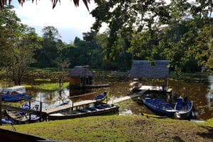 3-Day Iquitos Jungle Adventure at Muyuna Lodge 3