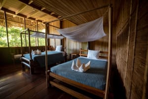 3-Day Amazon Adventure in Peru 3