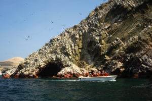 7-Day Peru Coastal Adventure 3