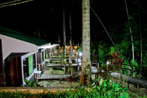 3-Day Iquitos Amazon Jungle Adventure at Ceiba Tops Lodge 3