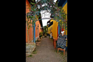 Embu das Artes Art Tour 4