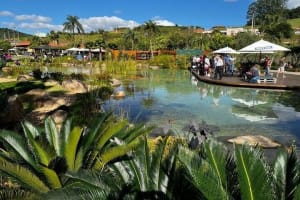 Sao Roque Private Wineries Tour 3